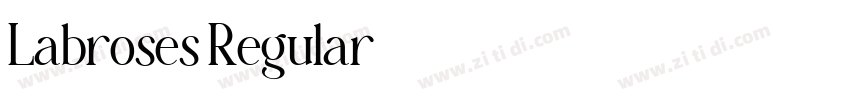 Labroses Regular字体转换 Labroses Regular字体转换